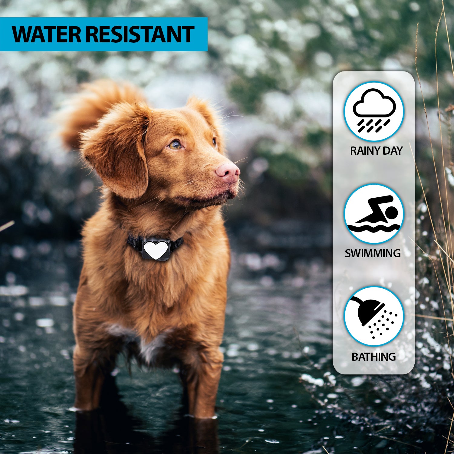 Trusted Pet RUFF Stopper Collar – Trustedpet