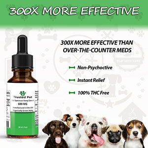 Hemp Oil for Dogs