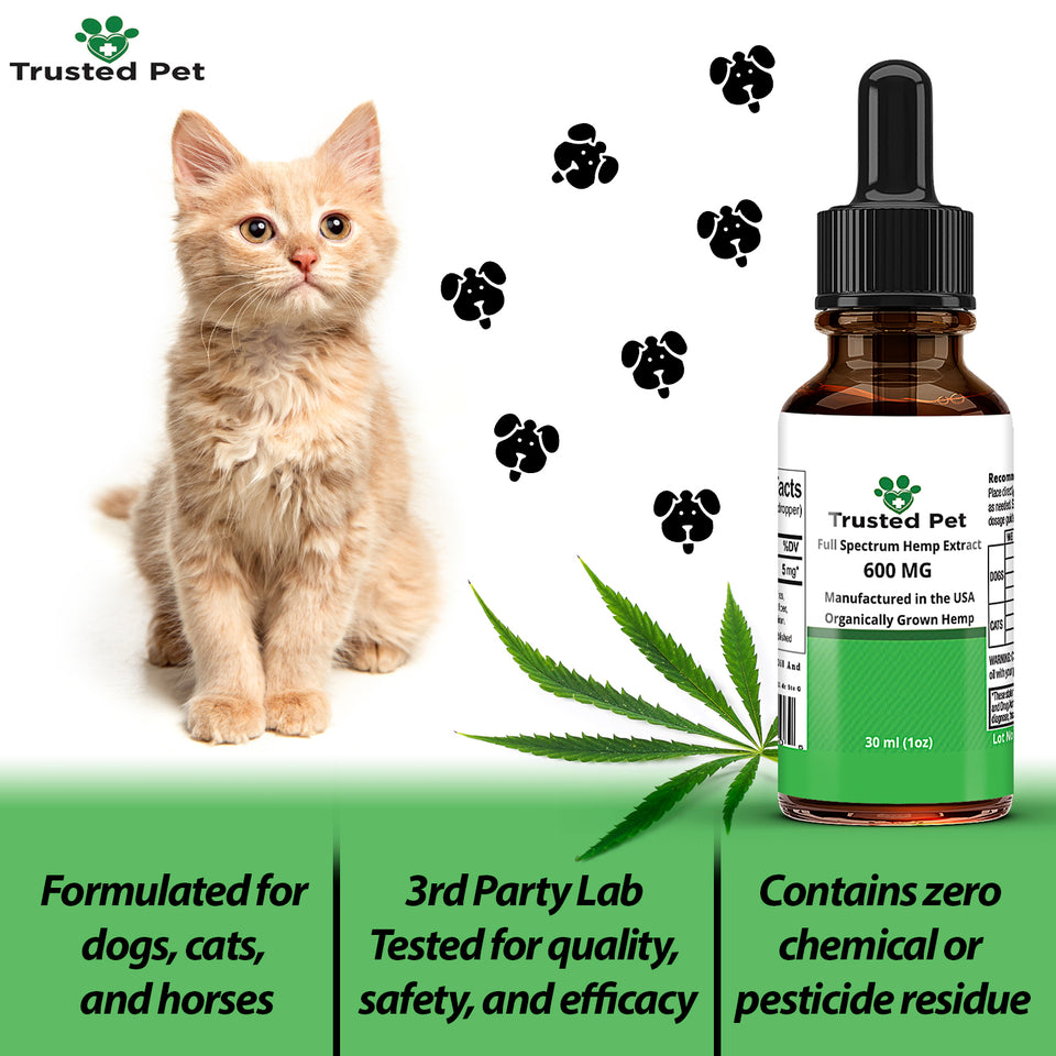 Hemp Oil for Dogs