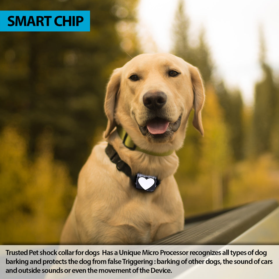 Trusted Pet RUFF Stopper Collar