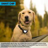 Trusted Pet RUFF Stopper Collar