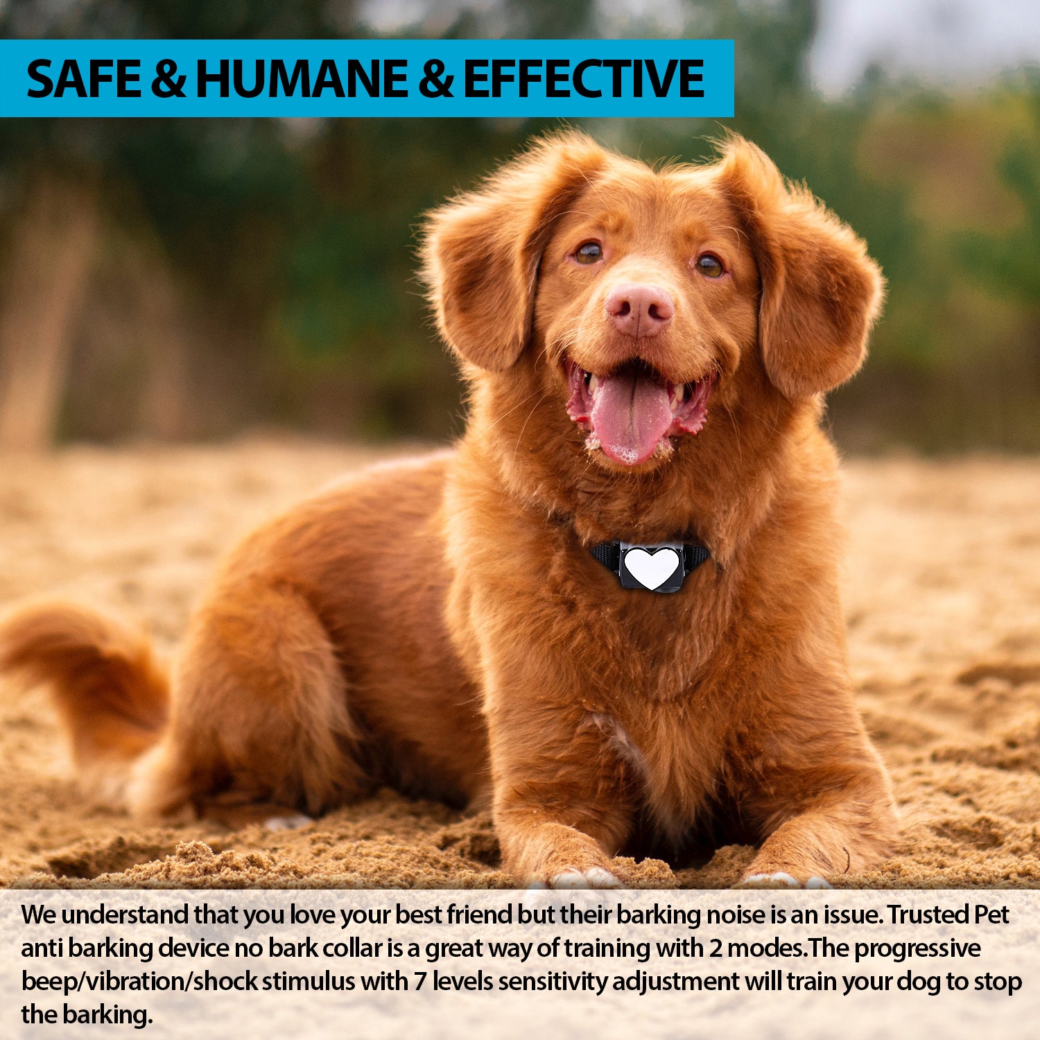 Trusted Pet RUFF Stopper Collar – Trustedpet