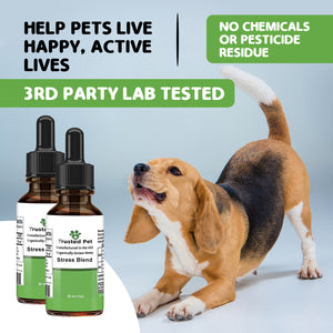 Trusted pet Dog and Cat Anxiety Supplement